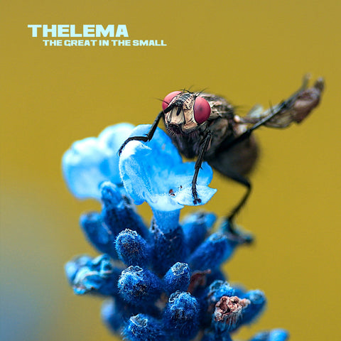 THELEMA - The Great In The Small LP marbled colored lim. Ed. 180 copies