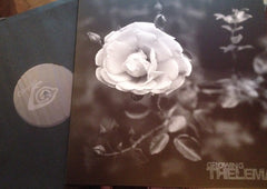 THELEMA "Growing" (Cine 08) LP - Cineploit Records & Discs
 - 2
